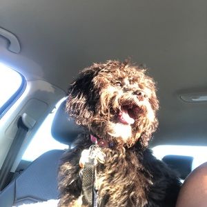 Meet your Posher, Nick